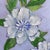 Abstract Expressionism Original Framed Daisy Garden Painting, White Blue Green Floral Wall Art, Oil on Canvas in Gold Frame, 14x14 Maximalist Boho Home Decor For Sale - Image 3 of 5