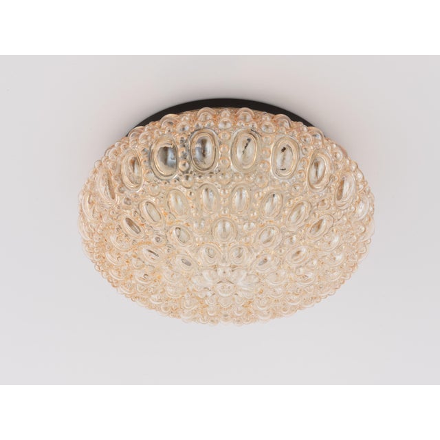 Mid-Century Modern 1960s Helena Tynell Glashutte Limburg Flush Mount Amber Bubble Glass For Sale - Image 3 of 10