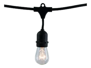 Bulbrite 48-foot String Light Kit with Clear Vintage Style S14 Incandescent Light Bulbs