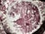 Gorgeous 1830's earthenware transferware dinner plate. Possibly Adams China. Staffordshire, England. Pink/red color....