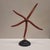 Starfish Ophidiaster Ophidianus, Vintage - Pacific Ocean, 1990s For Sale - Image 4 of 14