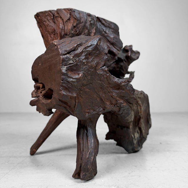 Wood Antique Japanese Root Wood Ikebana Display, 1900s For Sale - Image 7 of 12