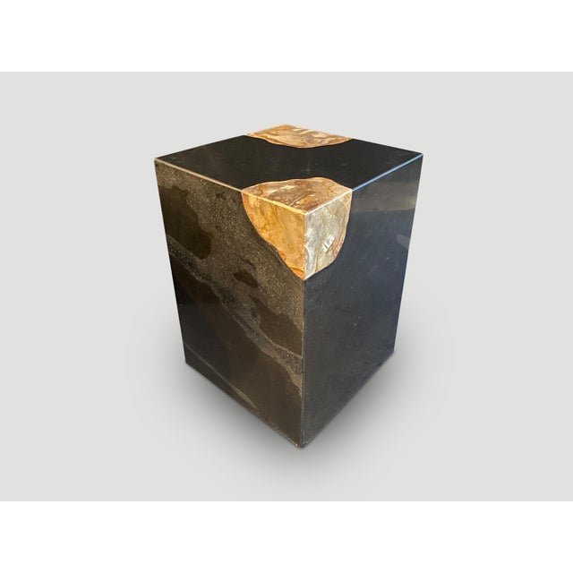 Contemporary Andrianna Shamaris Volcanic Stone and Petrified Wood Side Table For Sale - Image 3 of 5