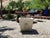 Vintage Cast Concrete Lions Head Planter For Sale - Image 4 of 12