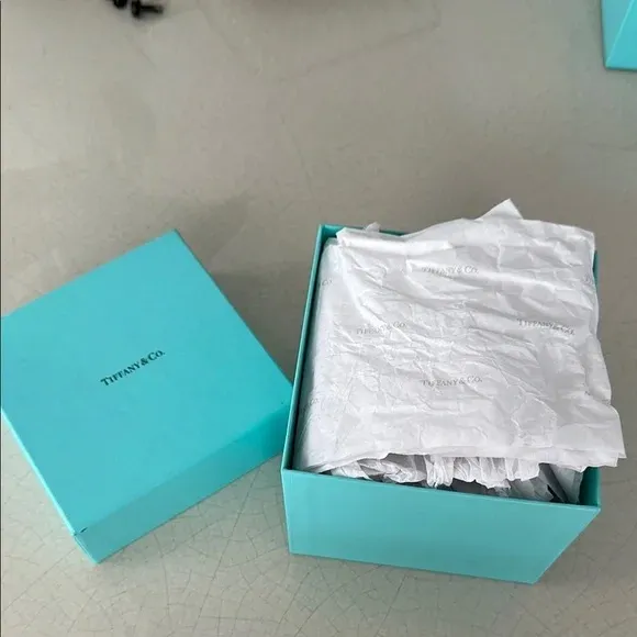 ティファニー　ボウクリスタルBOX Tiffany & Co. Crystal Box With Frosted Bow - NWT | Chairish