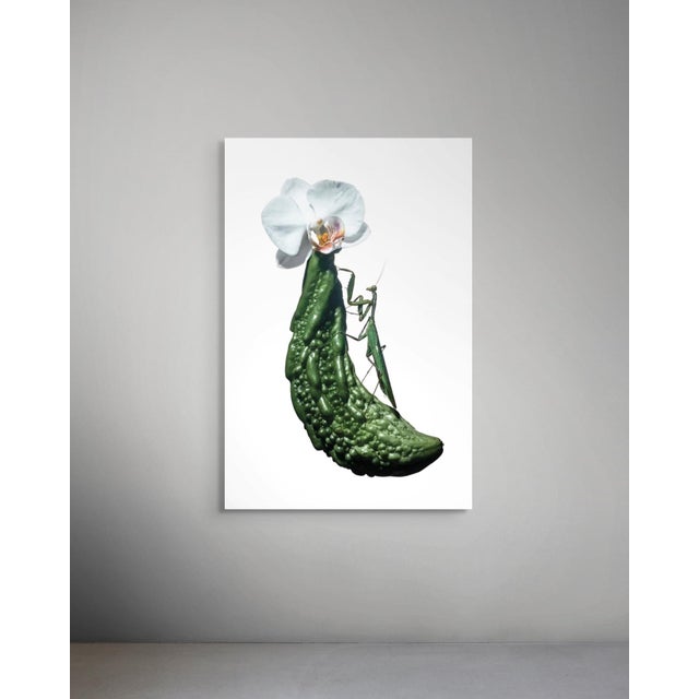 Exclusively available in the U.S. through ART AT HOME, Praying Mantis by Sivan Roshianu presents a precise and quietly...