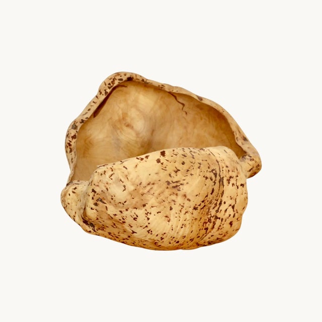 Large Magnifying Glass in Elm, Sweden, 1970s For Sale - Image 9 of 12