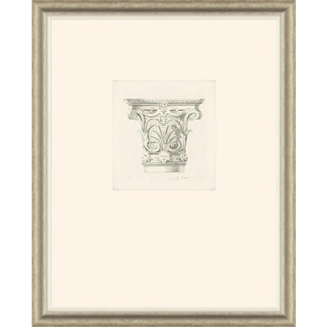 Traditional Colonna IV Framed Art Print by David Phoenix For Sale - Image 3 of 3