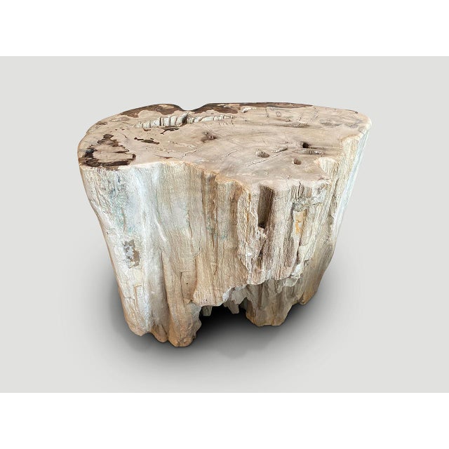 Andrianna Shamaris Ancient Petrified Wood Side Table or Coffee Table For Sale - Image 12 of 18