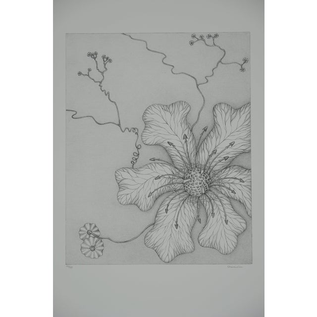 Gochka Charewicz, Grande fleur, Lithograph For Sale
