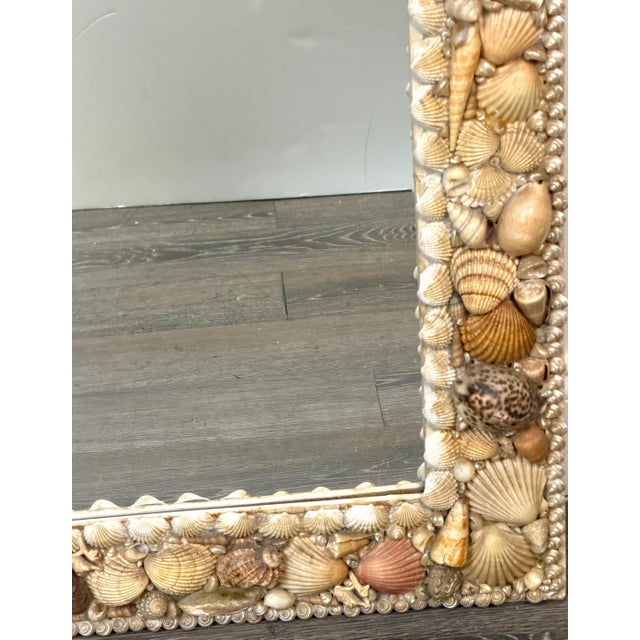 1960s Coastal Bohemian Specimen Shell Encrusted Mirror with Tiger Cowries For Sale - Image 9 of 14