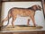 Wood British Colonial Style Elephant and Leopard Prints in Bamboo-Style Wood Frames Safari Decor — A Pair For Sale - Image 7 of 9