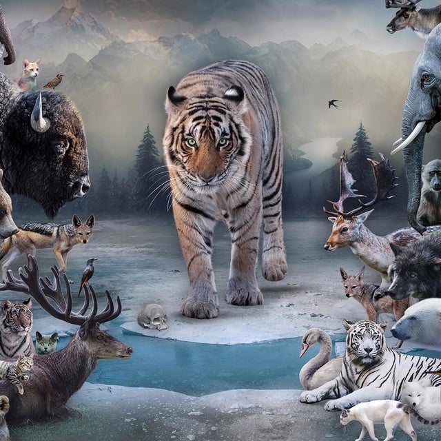 Early 21st Century The Golden Age II by Marcin Owczarek | Photography - Dye Sublimation on Aluminum featuring various animals For Sale - Image 5 of 5