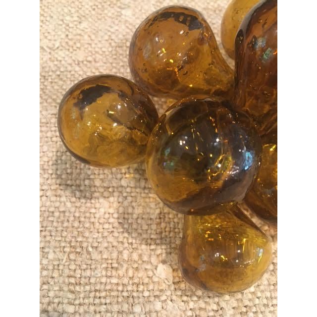 Amber Murano Style Glass Grape Cluster For Sale In Dallas - Image 6 of 8