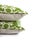 Textile Raoul Textiles George Smith Stella in the Color Wheatgrass Pillow Cover - 20" X 20" For Sale - Image 7 of 8