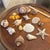 Curated Coastal Marine Specimen & Sea Shell Collection For Sale - Image 12 of 12