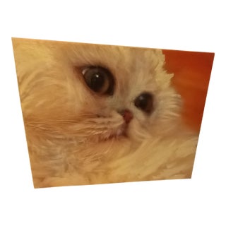 Coco White Himalayan Cat 11x14 Oil Painting For Sale