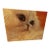 Coco White Himalayan Cat 11x14 Oil Painting For Sale
