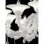 2020s White Venetian “Ca’ Rezzonico” Murano Glass Chandelier With Clear Glass Drops For Sale - Image 5 of 6