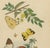 Guérin & Duméril, Butterfly and Moth, 1835, Engraving, Set of 2 For Sale - Image 6 of 10