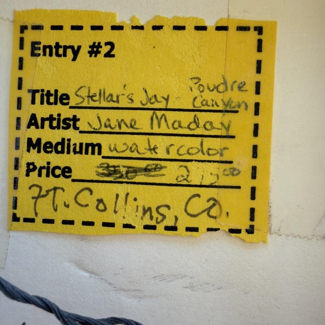 1990s Jane Maday Original Signed Watercolor Steller's Jay Poudre Canyon Framed For Sale - Image 11 of 14