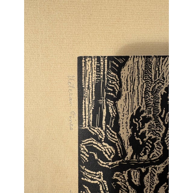 Arts & Crafts Veteren Pines by Berger Sandzen. 1928 Original Woodcut (Nail Cut) Lithograph. For Sale - Image 3 of 7