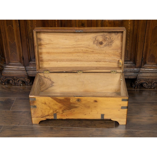 English English 1890s Camphor Wood Small Trunk with Brass Accents and Bracket Feet For Sale - Image 3 of 10