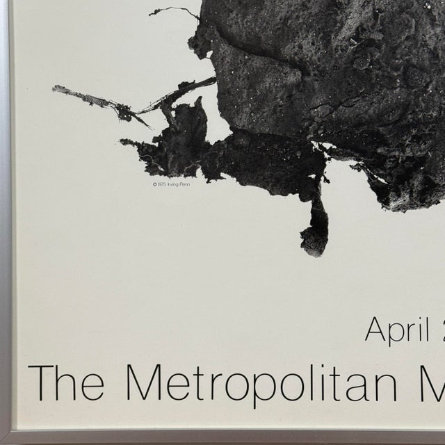 Realism 1977 Original Irving Penn Met Exhibition Print, Framed For Sale - Image 3 of 6