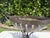 Ebony Vintage Wrought Iron Leaf Form Pedestal Centerpiece Bowl For Sale - Image 8 of 12