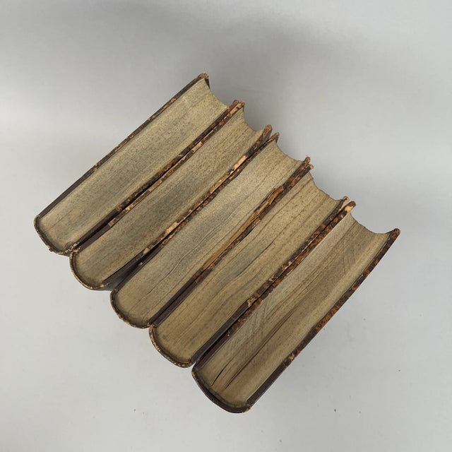 Art Deco Antique 1920s American Journal of Physiological Optics Sheard - 5 Volume Set For Sale - Image 3 of 13