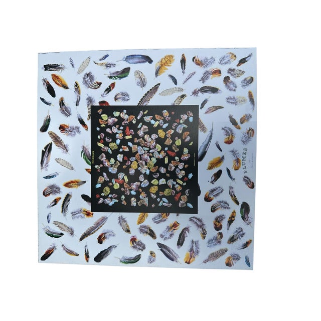 This is a vintage Hermès lithograph of a silk scarf "Plumes" designed by Henri de Linares, featuring a central black panel...