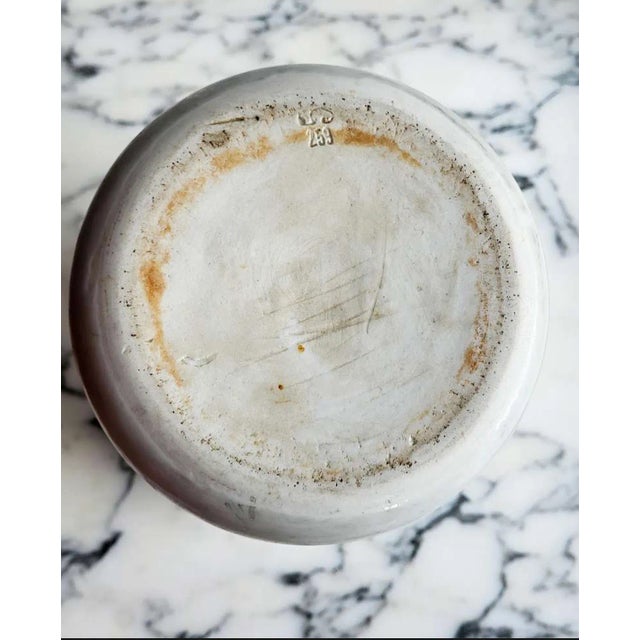 Antique Porcelain Apothecary Jar, 1890s For Sale - Image 5 of 6