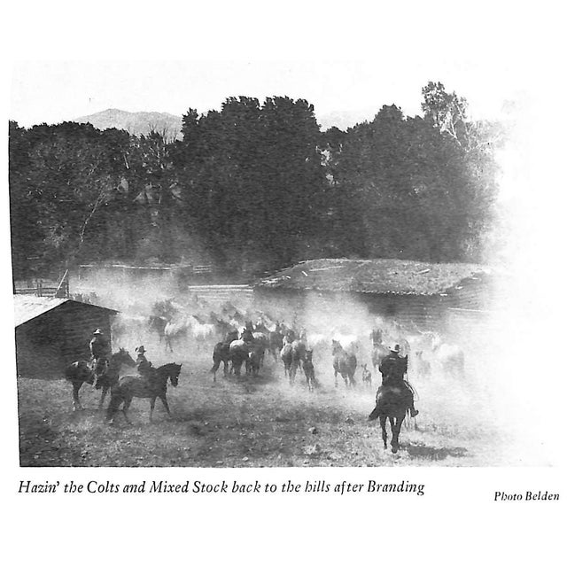 White "Dude Ranches and Ponies" 1936 Smith, Lawrence B. For Sale - Image 8 of 12