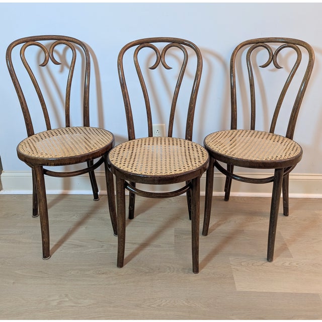 Mid-Century Modern 1960s Sweetheart Bentwood & Cane Chairs by ZPM Radomsko for Thonet For Sale - Image 3 of 14