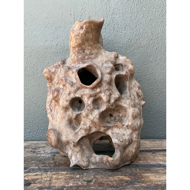 Vintage Organic Wood Knot Sculpture For Sale - Image 10 of 12