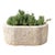 Monumental Chiseled Alabaster Marble Basin For Sale