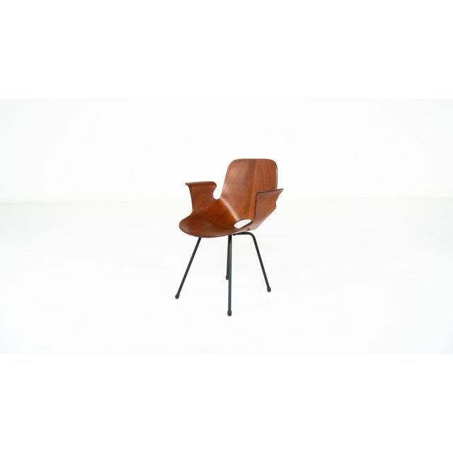 Medea Desk Chair from Vittorio Nobili, Italy, 1955 For Sale - Image 6 of 8