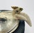 Emilia Castillo Cockatoo Silver Bowl With Volcanic Rock Base, 1980s For Sale - Image 18 of 18