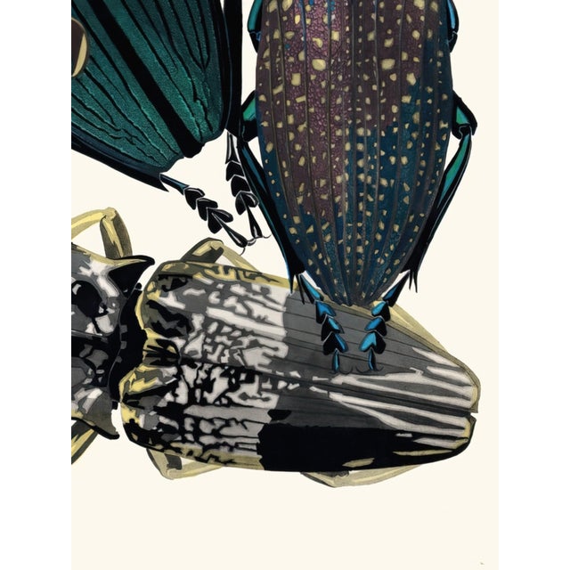 Not Yet Made - Made To Order Insects Plate 05 by Emile-Allain Séguy, Vintage Art Print Reproduction, 18" × 24" For Sale - Image 5 of 6