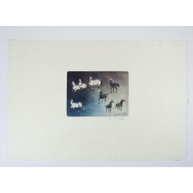 Kaiko Moti Signed Mid-Century Modern Blue Horses Aquatint Etching For Sale - Image 4 of 4