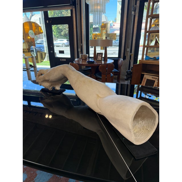 A large-scale sculptural study depicting an elongated reclining arm and hand, rendered with fluid, organic contours that...