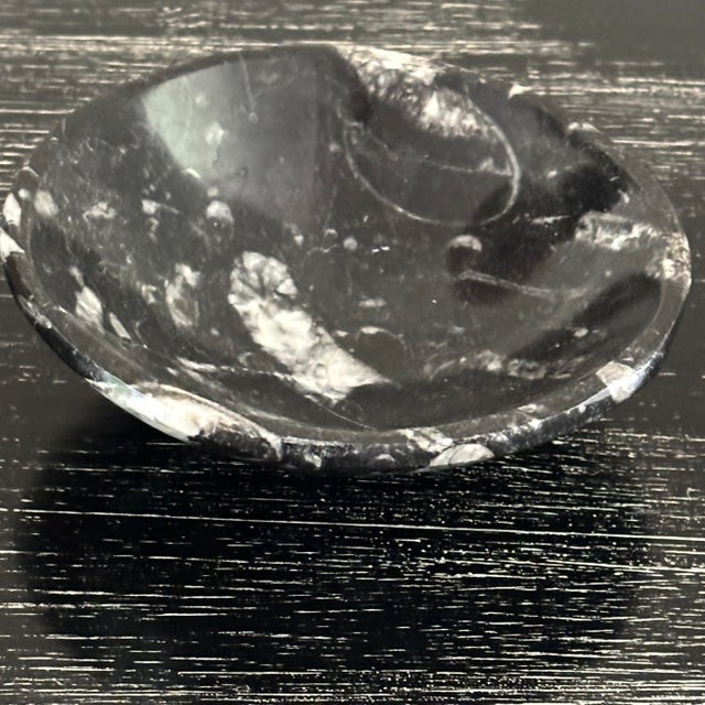 Glass Vintage Crystal Egg Polished - Fossil Bowl (2pc) For Sale - Image 7 of 10