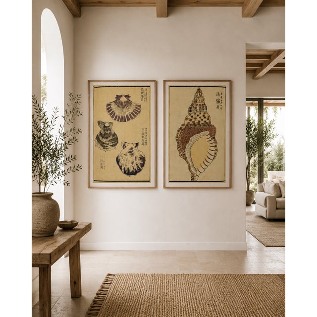 Brown Vintage Japanese Seashell Studies Diptych, Woodblock Print Reproduction Set, 40" X 60" For Sale - Image 8 of 10