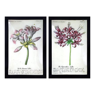 John Derian Signed Bella Donna and Guernfey Lillies Glass Plates- a Pair For Sale