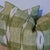 Brunschwig & Fils Girard Pillows in Leaf - Double Sided Pair For Sale In Greensboro - Image 6 of 6