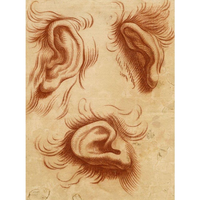 After Charles Le Brun, Physiognomy Study of Ears, 18th Century, Chalk Drawing For Sale - Image 4 of 4