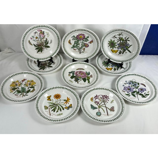 1972 Portmeirion Botanic Garden Dinner Plates- Set of 12 For Sale