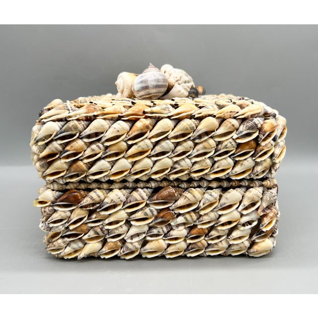 Tan Vintage Coastal Seashell Covered Shell Encrusted Box – Coastal / Tropical For Sale - Image 8 of 18