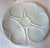 Beautiful ivory French limoges oyster plate! I have two of these available
