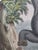 Realism Antique Monkey Hand Colored Lithograph, Large Size, Italy, 1868 For Sale - Image 3 of 6